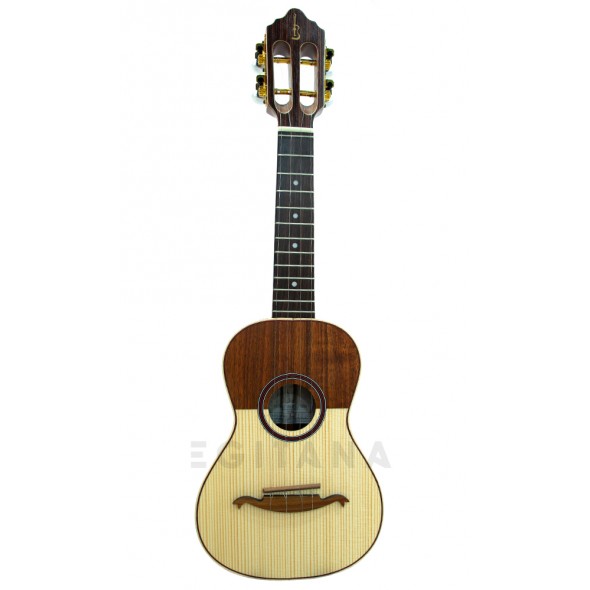 APC CAV Luthier APC CAV Luthier